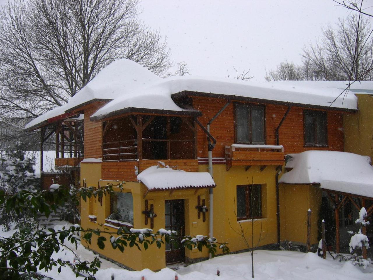 Casa Mica Guesthouse Bucharest Exterior photo