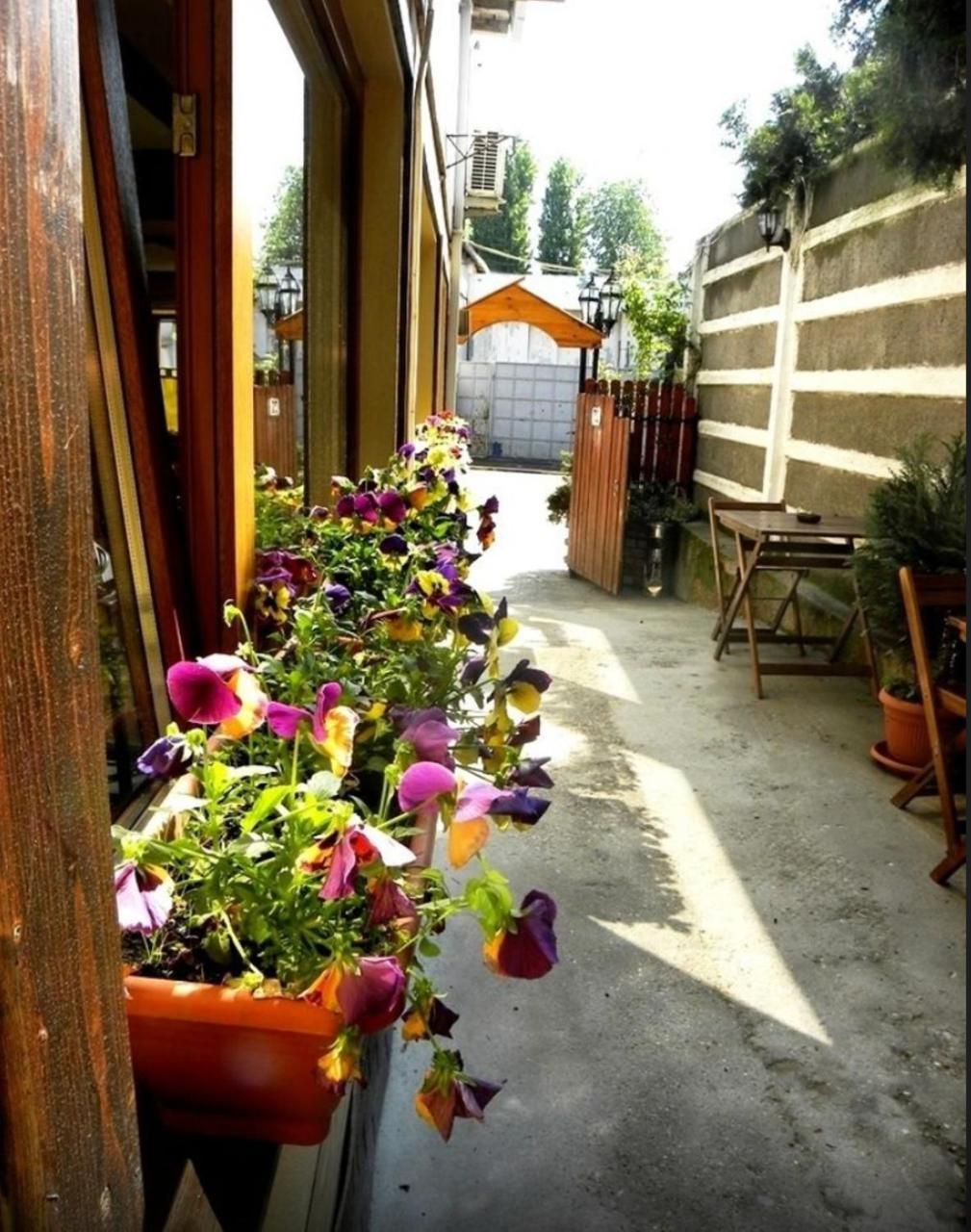 Casa Mica Guesthouse Bucharest Exterior photo